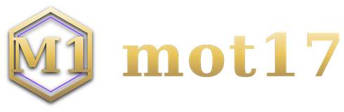 mot17 logo